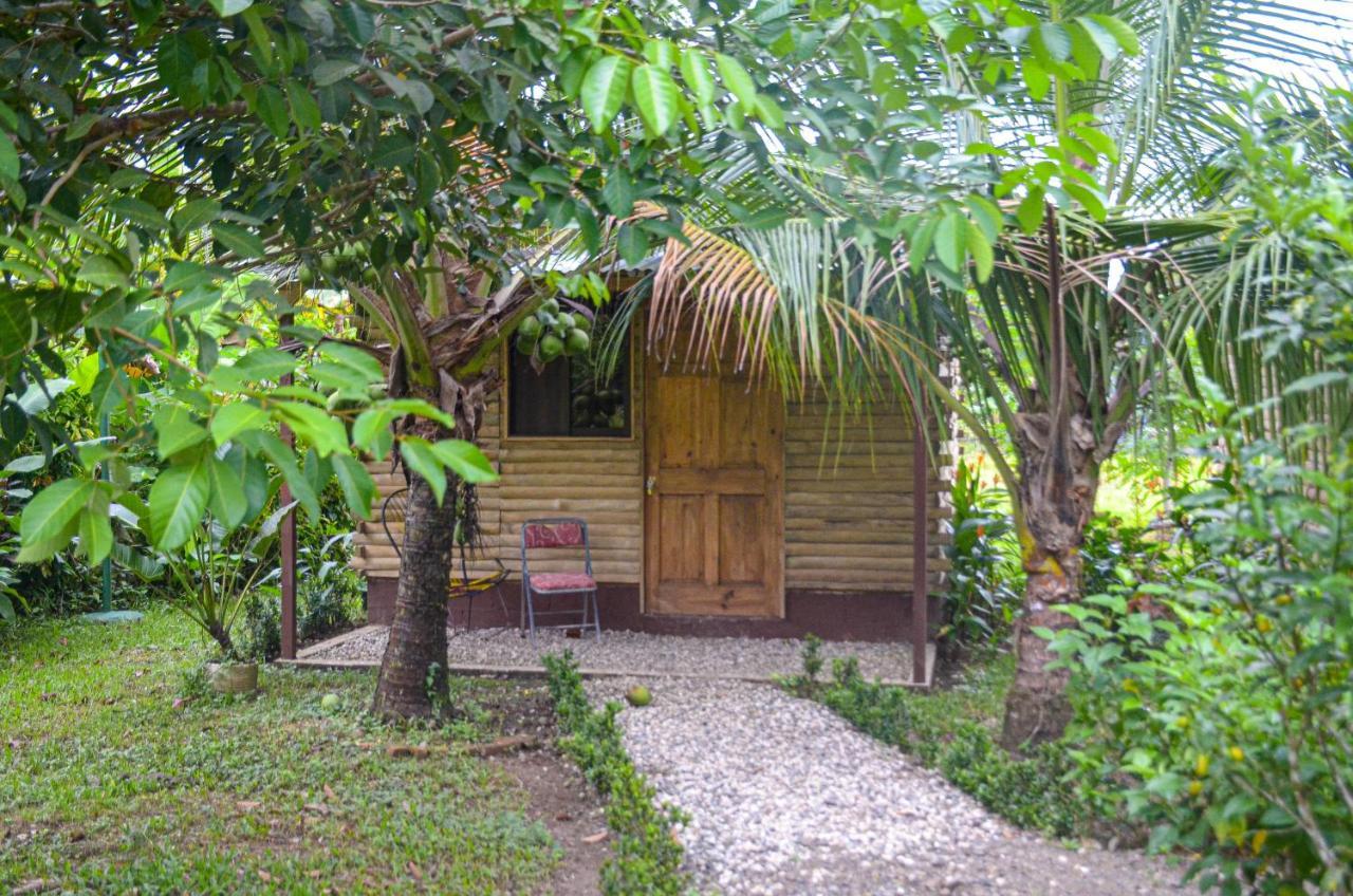 Hospedaje Y Alojamiento Cabanas Don Beto La Palma المظهر الخارجي الصورة