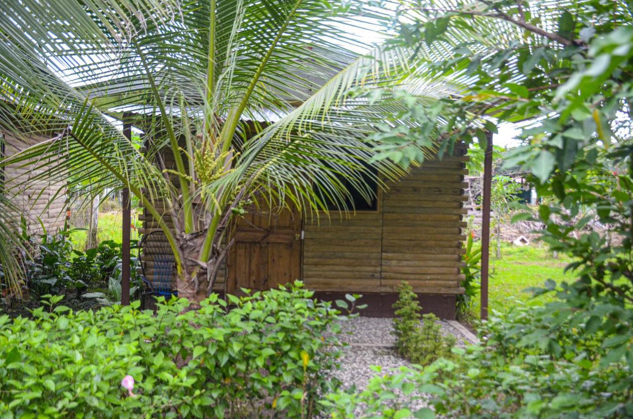 Hospedaje Y Alojamiento Cabanas Don Beto La Palma المظهر الخارجي الصورة